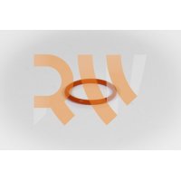 ORING SK25/65 (10UN) (433607)